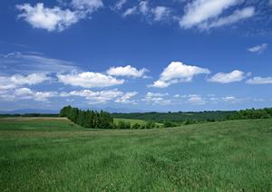 静岡県富士市の家族葬専門斎場「家族葬のタクセル天間」：安心・低価格の家族葬サービスを提供