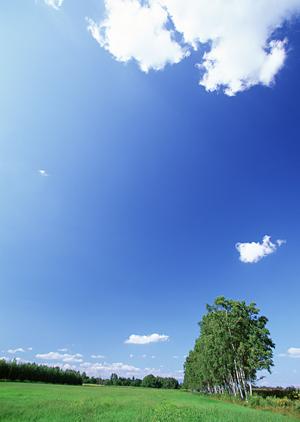 静岡市の信頼できる葬儀場・家族葬の専門店【富士葬祭 材木町】の特徴とサービス概要