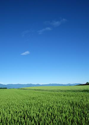 静岡市に新オープンの家族葬専門斎場｜【公式】家族葬のタクセル沓谷の特徴と詳しい情報