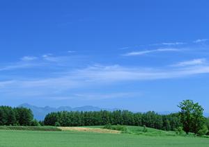 静岡県内で低価格と高品質を実現する家族葬専門の葬儀場『家族葬のタクセル』最新情報と店舗ガイド