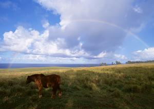 静岡市で安心の葬儀サービスを提供する富士葬祭 瀬名の特徴とサービス内容